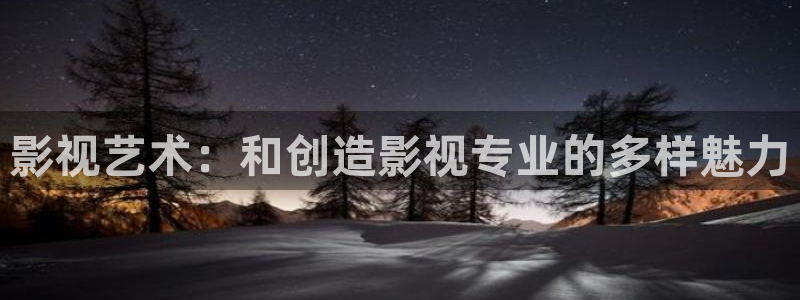 关于星空的视频