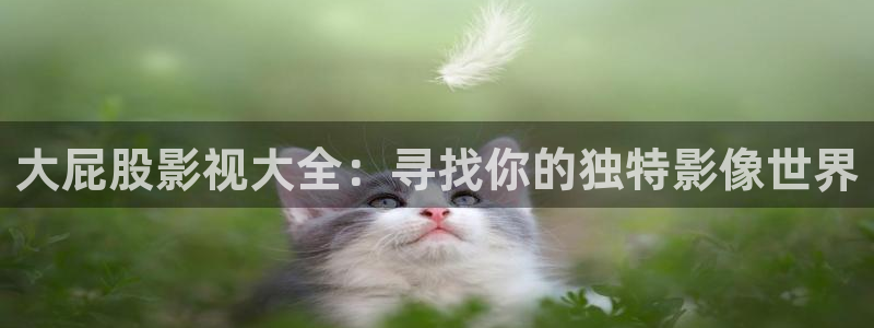 星空影视大片免费看