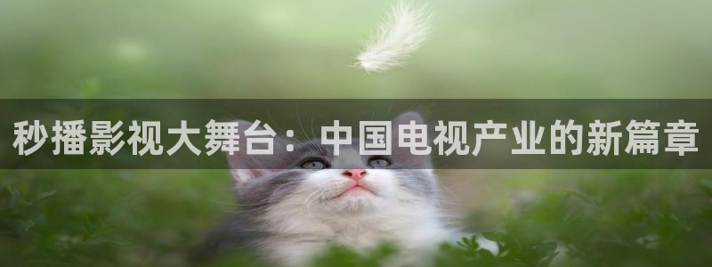 星空影院理论电影